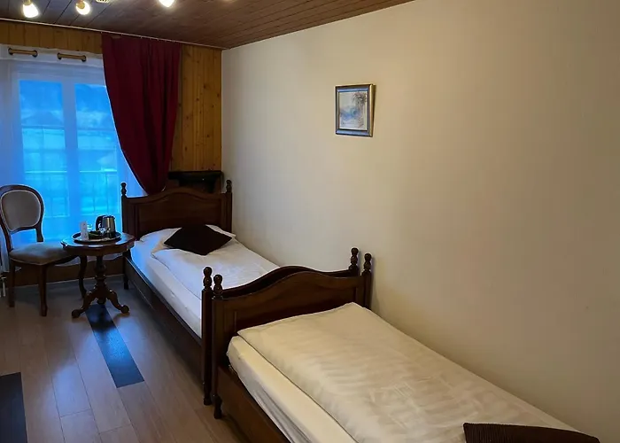 Historic Hotel Steinbock