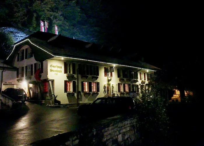 Historic Hotel Steinbock