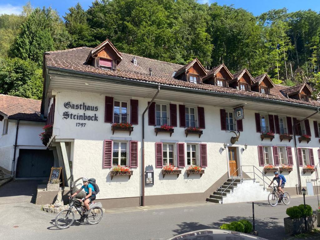 Historic Steinbock 2* Wilderswil