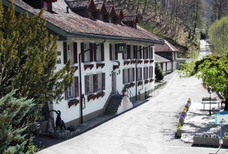 Historic Steinbock होटल