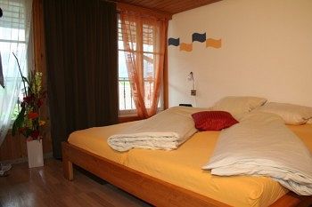 Historic Steinbock 2* Wilderswil
