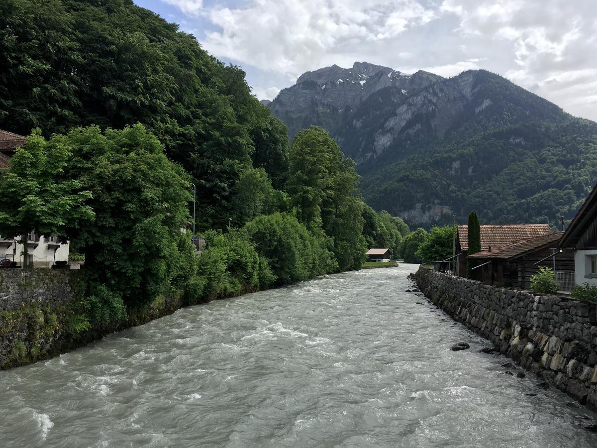Historic Steinbock होटल Wilderswil